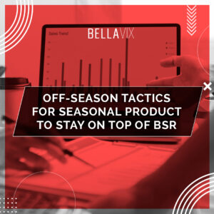 Off-Season Tactics For Seasonal product to Stay on top of BSR