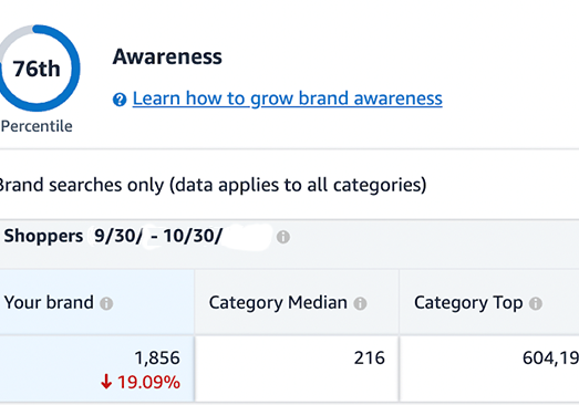 Brand Awareness Increase BellaVix case study 4a